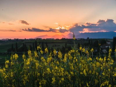 Holiday house Belvilla by OYO Leonardo - Environment photo 26