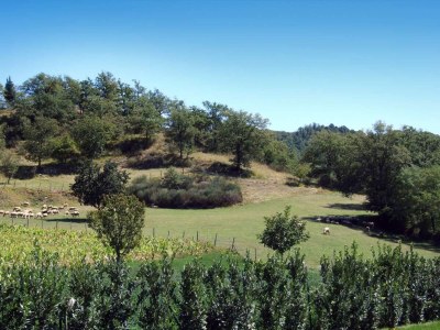 Holiday house Ferienhaus in der Nähe nördlich von Florenz. - Environment photo 35