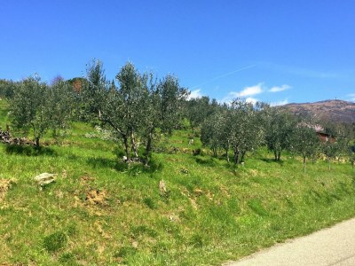 Holiday house Belvilla by OYO Cottage in PiandiscÃ² with Terrace - Environment photo 17