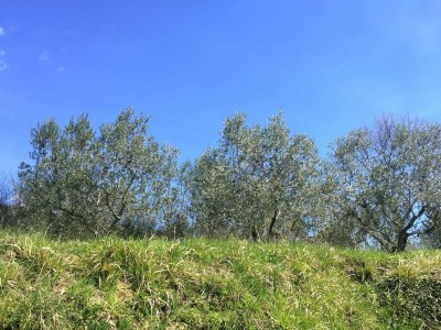 Holiday house Belvilla by OYO Cottage in PiandiscÃ² with Terrace - Environment photo 19