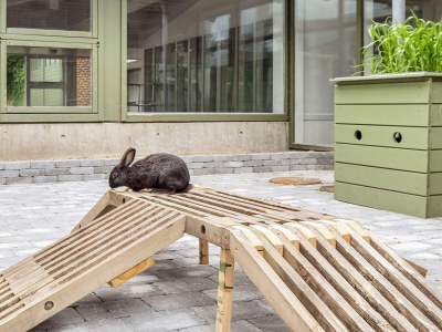 Holiday park Vegsø Ferienpark: Premium-Refugium - Outdoor photo 21