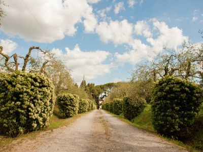 Farmhouse Geräumiger Bauernhof mit Swimmingpool in Cortona - Environment photo 31