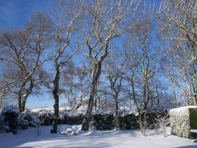 Holiday house Schouwse Duin - Outdoor photo 7
