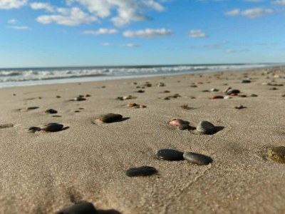 Holiday house Luxurioses Refugium am Heideland-By Traum - Outdoor photo 16