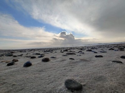 Holiday house Luxurioses Refugium am Heideland-By Traum - Outdoor photo 17