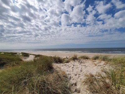 Holiday house Luxurioses Refugium am Heideland-By Traum - Outdoor photo 29