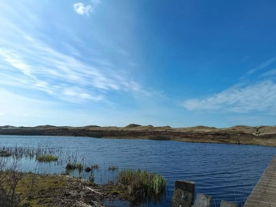 Holiday house Luxurioses Refugium am Heideland-By Traum - Outdoor photo 31