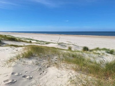 Holiday house Luxurioses Refugium am Heideland-By Traum - Outdoor photo 47