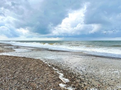 Holiday house Luxurioses Refugium am Heideland-By Traum - Outdoor photo 48