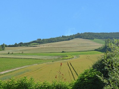 Villa Hübsche Villa mit eigenem Pool in Montadet (Frankreich) - Outdoor photo 7