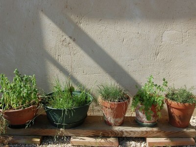 Villa Hübsche Villa mit eigenem Pool in Montadet (Frankreich) - Outdoor photo 12