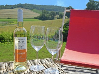 Villa Hübsche Villa mit eigenem Pool in Montadet (Frankreich) - Outdoor photo 36