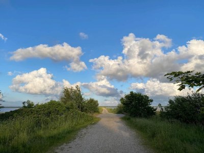 Holiday house 6 person holiday home in Henne - Outdoor photo 11