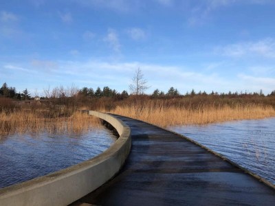 Holiday house 6 person holiday home in Henne - Outdoor photo 28