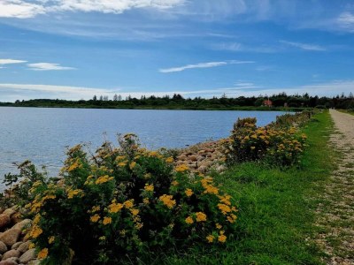 Holiday house 6 person holiday home in Henne - Outdoor photo 29