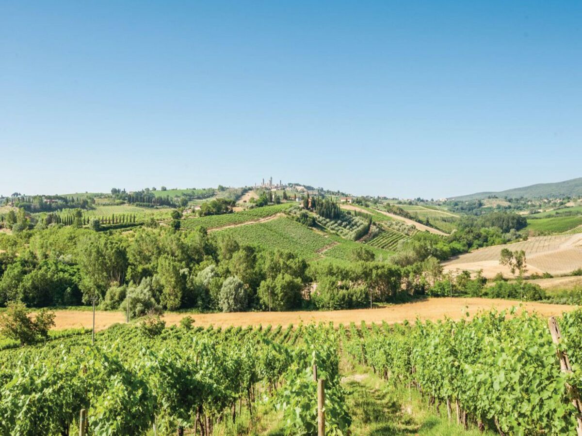 Farmhouse San Gimignano Hillside Haven - Outdoor photo 5