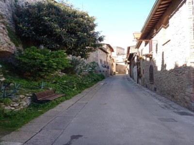 Farmhouse San Gimignano Hillside Haven - Environment photo 33