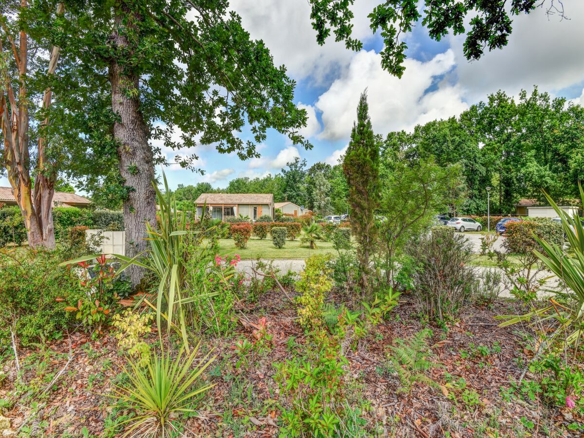 Chalet Sehr schönes Chalet Neptune 500m vom Lake Hourtin entfernt - Outdoor photo 5