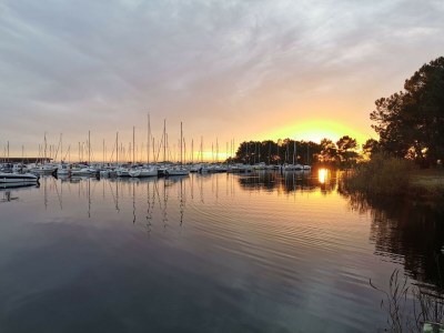 Chalet Sehr schönes Chalet Neptune 500m vom Lake Hourtin entfernt - Environment photo 31