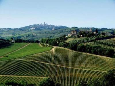 Farmhouse Tuscan Farmhouse with Pool - Environment photo 15