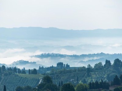 Farmhouse Tuscan Farmhouse with Pool - Environment photo 19