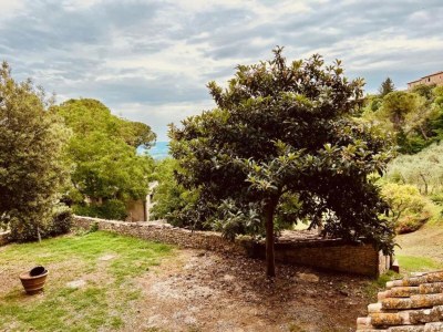 Farmhouse Tuscan Farmhouse with Pool - Environment photo 31