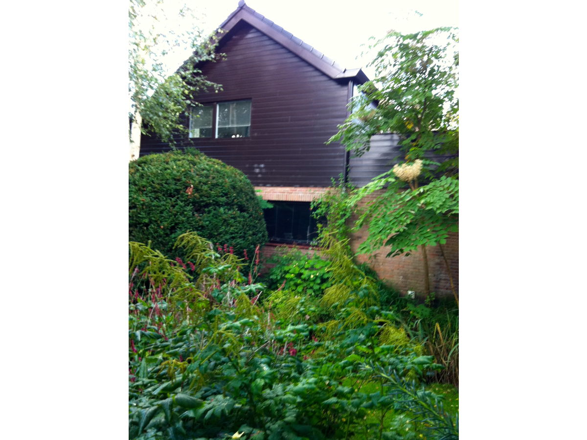 Apartment - Ferienapartment Bergen NH - Outdoor photo 3