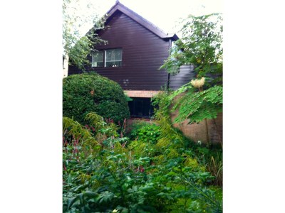 Apartment - Ferienapartment Bergen NH - Outdoor photo 3