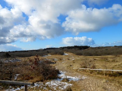 Apartment - Ferienapartment Bergen NH - Environment photo 17