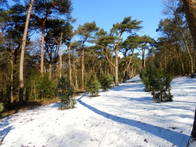 Apartment - Ferienapartment Bergen NH - Environment photo 18