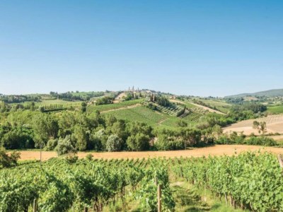 Farmhouse Escape near San Gimignano - Environment photo 39