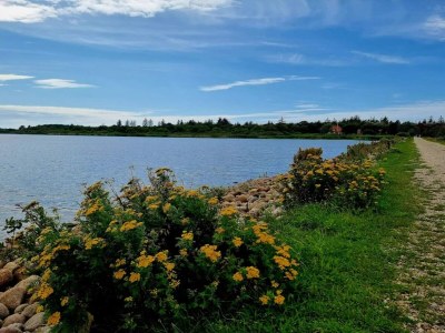 Holiday house Cosy Retreat in Henne Strand-By Traum - Outdoor photo 33