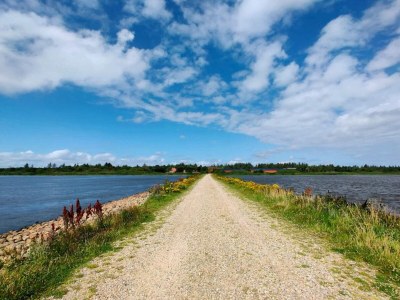 Holiday house 4 Personen Ferienhaus in Henne - Outdoor photo 34