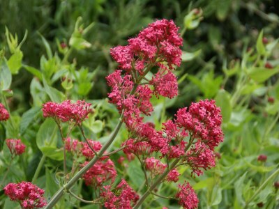 Holiday house Holiday Home Saint-Beauzire near Pauillac Castle - Outdoor photo 23