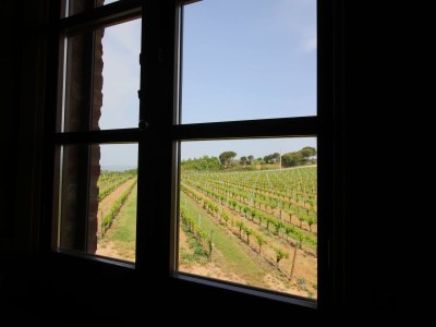 Farmhouse Belvilla by OYO Tulipano - Outdoor photo 19