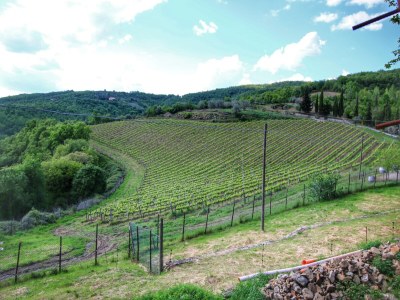 Farmhouse Farmhouse with pool in Montepulciano - Environment photo 32