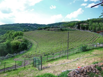 Farmhouse Ruhiger Bauernhof in 

 Montepulciano mit Pool - Environment photo 39