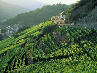 Holiday house Modern villa with pool, jacuzzi and sauna in top location with stunning view - Environment photo 21