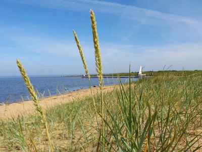 Holiday house Modernes Refugium in Skaven -- By Traum Ferienwohnungen - Outdoor photo 40