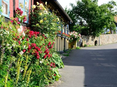 Holiday park 4 Personen Ferienhaus in Allinge - Outdoor photo 15