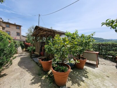 Holiday house Belvilla by OYO Casa Orbicciano & Nido d'amore - Outdoor photo 13