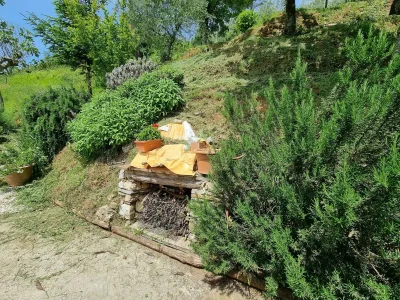 Holiday house Belvilla by OYO Casa Orbicciano & Nido d'amore - Outdoor photo 38