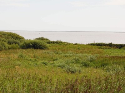 Holiday house 4 person holiday home in Esbjerg V - Outdoor photo 6