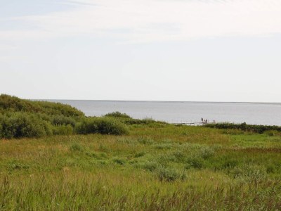 Holiday house 4 person holiday home in Esbjerg V - Outdoor photo 9