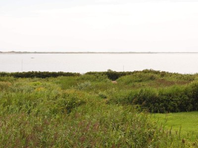 Holiday house 4 person holiday home in Esbjerg V - Outdoor photo 10