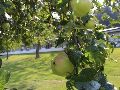 Holiday park 2 person holiday home in Allinge - Outdoor photo 9