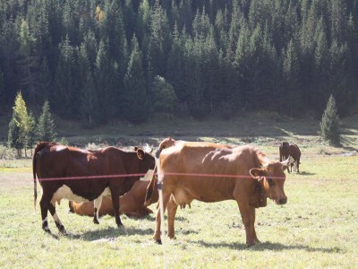 Apartment Luxury flat with sauna in the French Alps - Environment photo 20