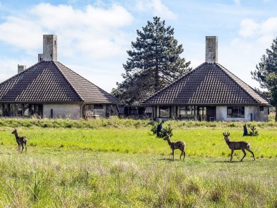 Holiday park Inviting holiday home in Karrebæksminde - Outdoor photo 6