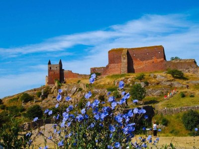 Holiday park 6 Personen Ferienhaus in Allinge - Outdoor photo 4