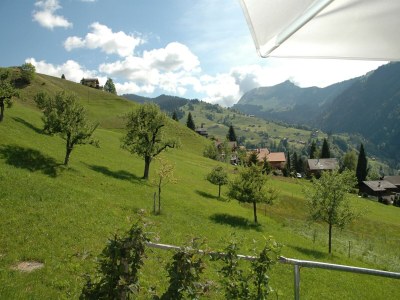 Farmhouse Ruhiger Bauernhof mit Parkplatz in Habkern - Outdoor photo 13